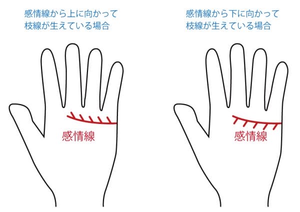 感情線の先が枝分かれした人は 気配りのできる人 手相占い 無料占いcoemi コエミ 感情線の先が枝分かれした人は 気配りのできる人 手相占い 無料占いcoemi コエミ